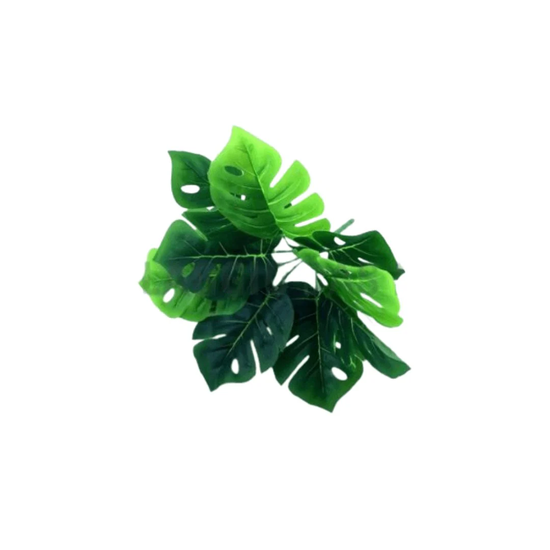 Buquê de Folhas Costela de Adão Verde 32cm