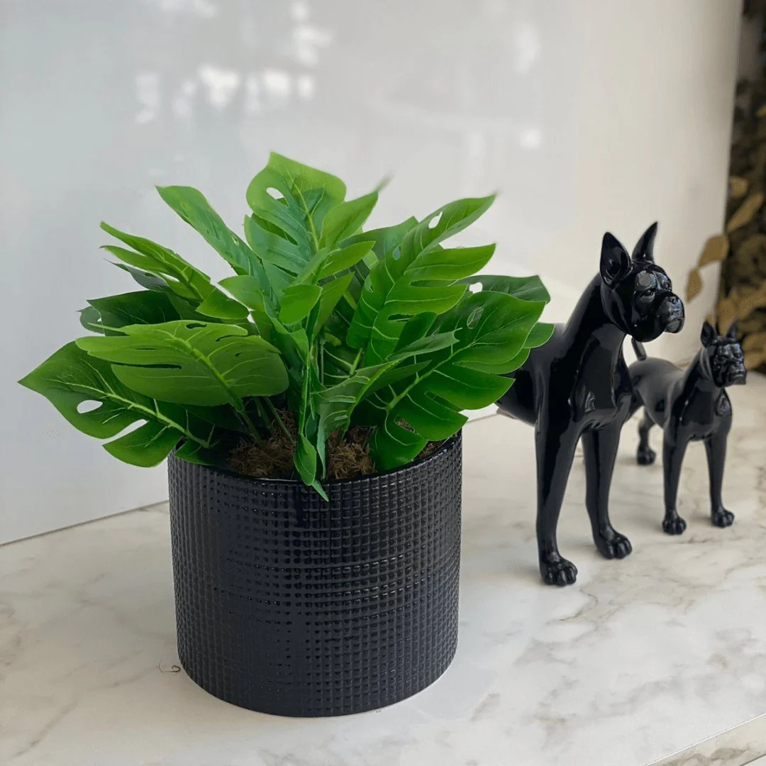 Buquê de Folhas Costela de Adão Verde 32cm - Image 3