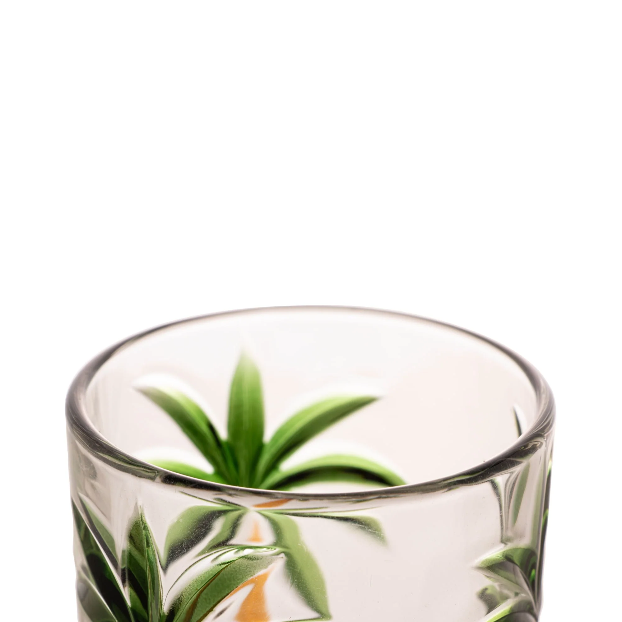 Jogo 6 Copos Altos em Cristal Palm Tree 360ml - Image 6