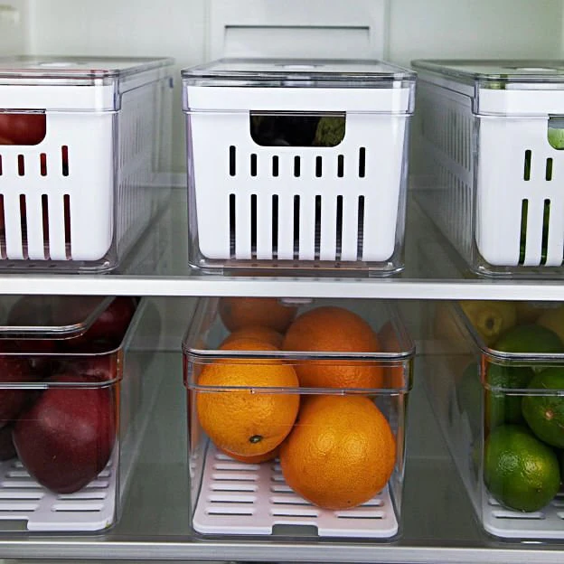 Organizador Clear Fresh 5 Litros - Image 10