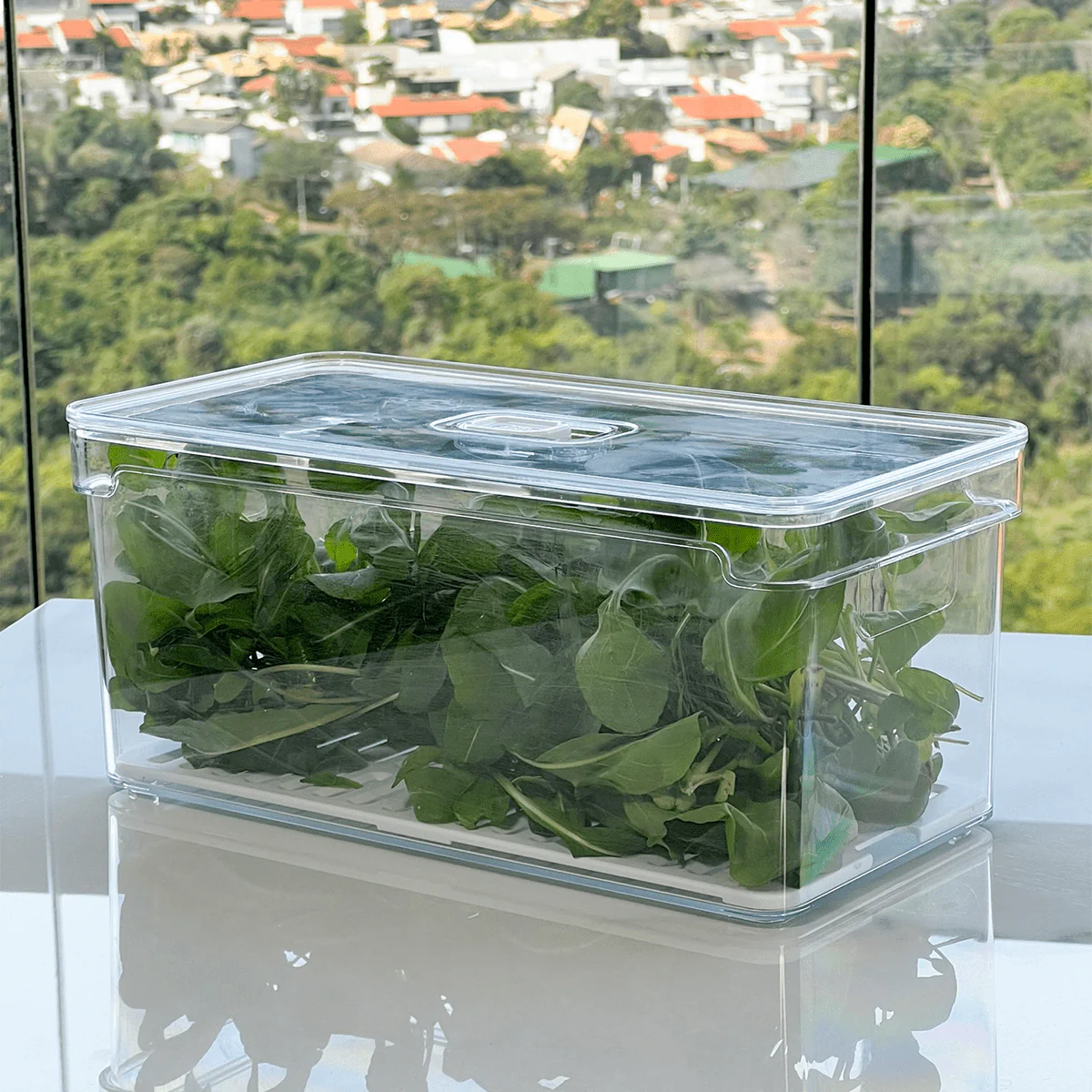 Organizador Clear Fresh 5 Litros - Image 8