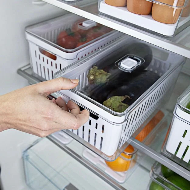 Organizador Clear Fresh com Cesto 5 Litros - Image 2