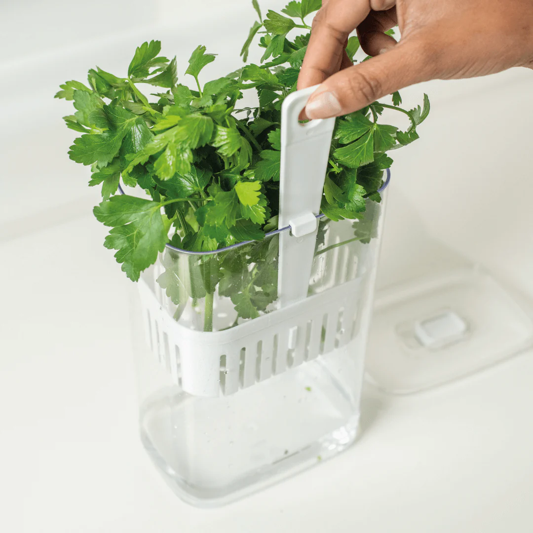 Organizador Pote para Temperos Frescos Clear Fresh 2,3 Litros - Image 6