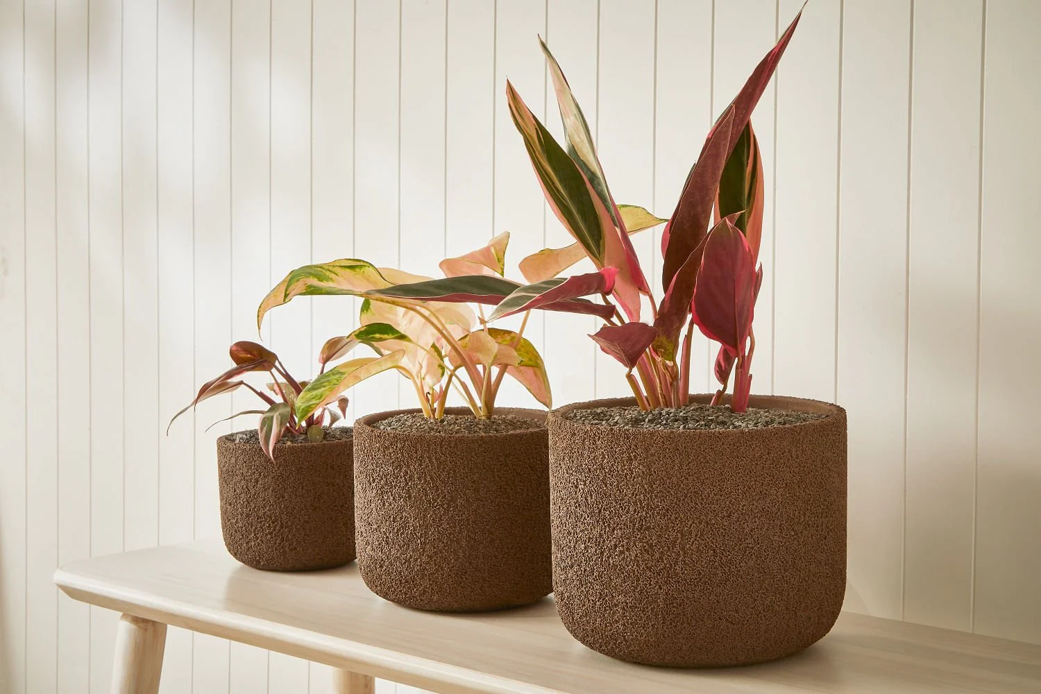 Vaso Cachepot de Cimento Marrom 22,5cm G Mart - Image 3
