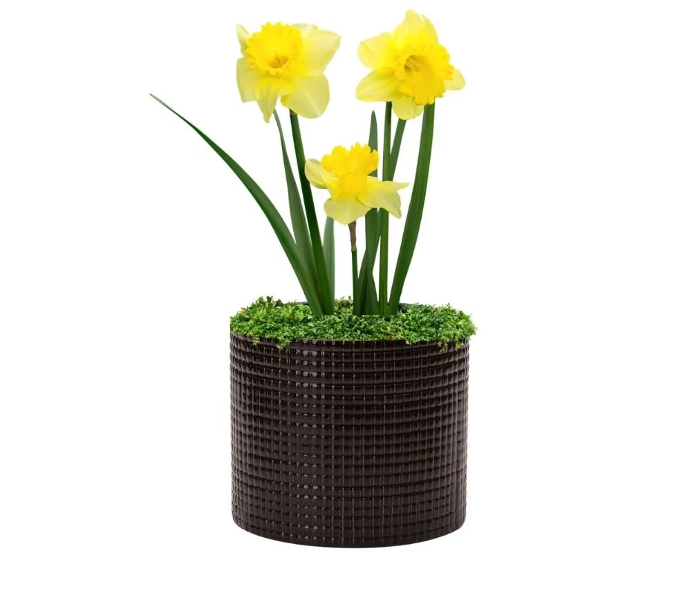 Vaso Cachepot em Cerâmica Preto 19cm x 16cm - Image 2