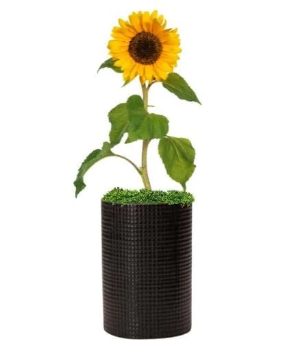 Vaso Cachepot em Cerâmica Preto 21cm x 14cm - Image 2